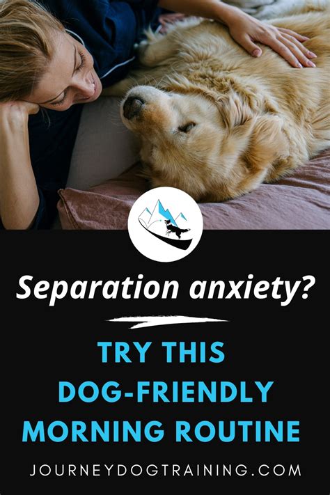  How to Overcome Separation Anxiety in Dogs A change in routine including mental stimulation is thought to be one of the factors that contribute most to your pet experiencing an onset of separation anxiety