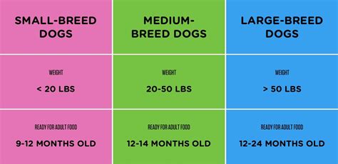  How to Switch Your Puppy to Adult Dog Food Once you have selected the best adult dog food for your puppy, you are ready to transition them slowly onto their new diet