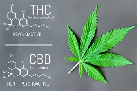  However, CBD may not be as effective without the other phytocannabinoids and terpenes found in hemp extract