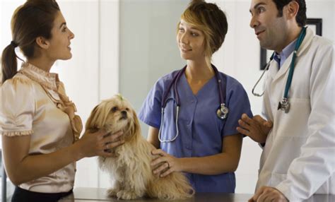  However, consider consulting your veterinarian about any worries or questions you might have