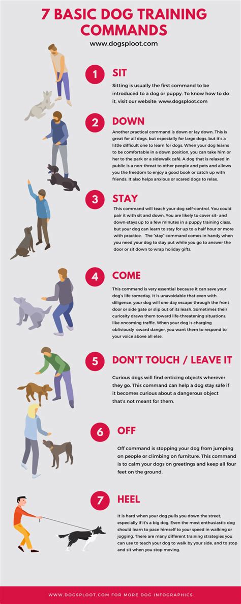  However, early dog training can eliminate common problems with puppy temperament and help make sure that your fur friend is always as friendly and happy as possible through the years