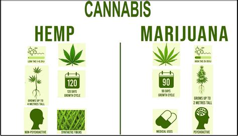  However, hemp grown outside of the states could have higher, and potentially harmful, levels of THC when it comes to pets