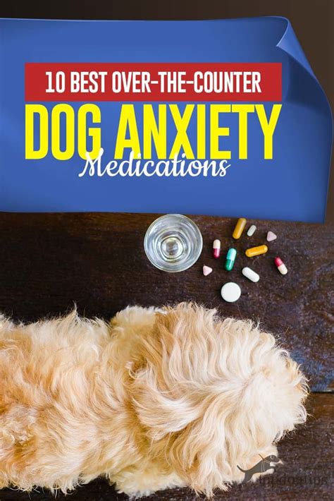  However, if you give your dog medications for anxiety or any other conditions, check with your veterinarian before using CBD oil