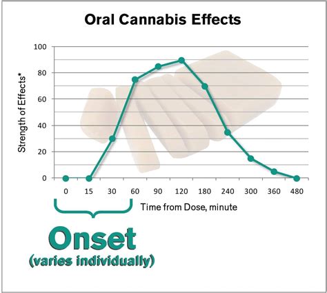  However, it may take 1—3 hours for effects to peak when cannabis is ingested