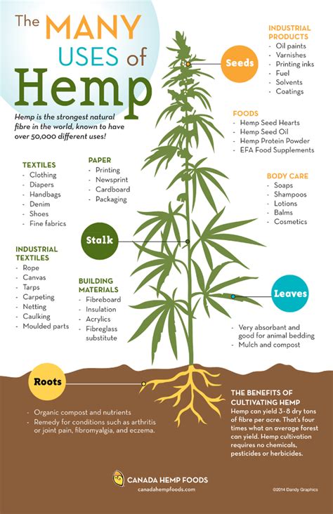  However, pet parents can avoid this issue by investing in a hemp product provider with clear administration guidelines