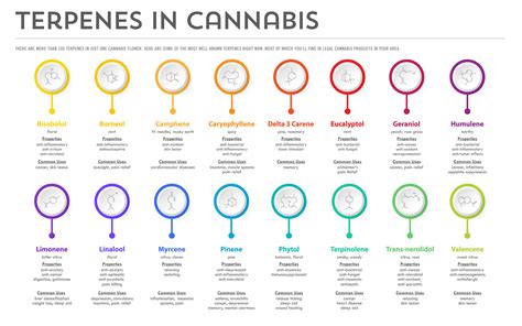  However, some benefits may be enhanced in certain products because of the added ingredients, terpenes, or other cannabinoids those products contain