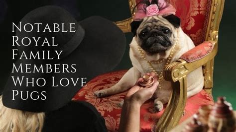  However, the pugs have a history with royal families in the Netherlands and England