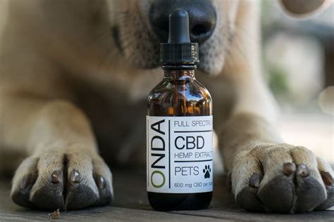  However, there is still research that needs to be done on CBD and pets