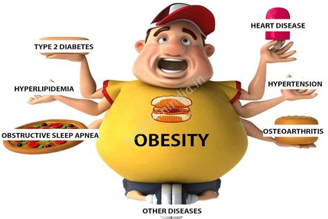  However, they are prone to obesity, which is why you have to regulate their food intake