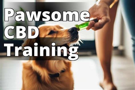  However, with the emergence of natural supplements like cannabidiol CBD , pet owners have a wide array of treatment options besides conventional prescription medications