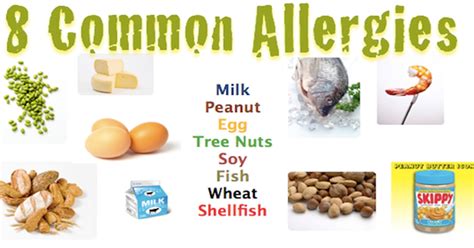 However, you should consider important things such as ingredients of the food, allergies it might cause