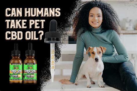  Humans can take CBD oil made for pets