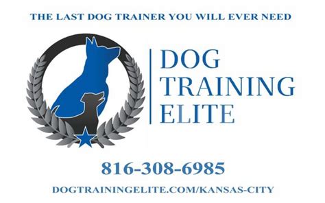  I am very appreciative and I highly recommend using dog training elite Houston