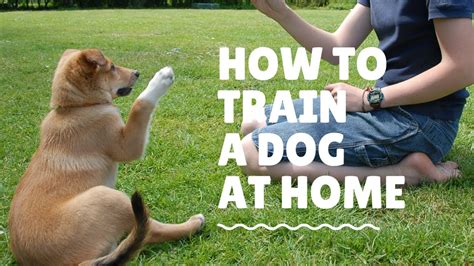  I call this passive training and its probably one of the easiest and most effective way to train any dog