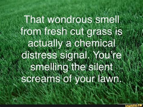  I mark it with the scent of fresh green grass