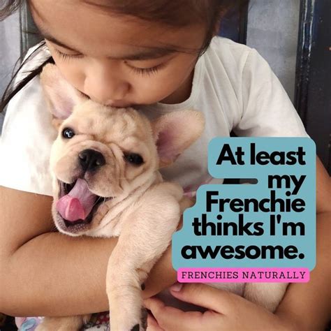  I think having a Frenchie would help me not only feel the companionship a dog brings but also fill the void of my lost love