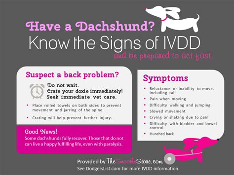  IVDD can have many symptoms