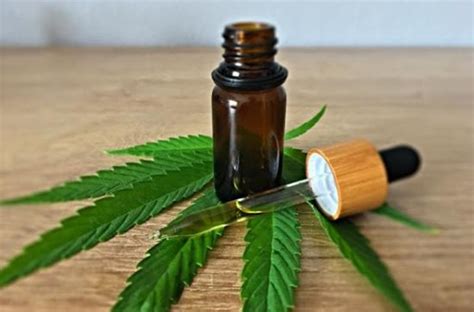  Ideally, you should give a small amount of CBD every day