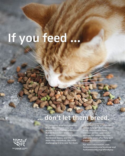  If, however, you feed them low-quality treats all the time, they will start to suffer from various health problems, including obesity, joint problems, tummy problems, diabetes, and several more