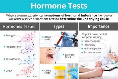  If a hormonal imbalance is suspected, a veterinarian can perform tests to determine the levels of various hormones and recommend appropriate treatments or management strategies to support the dog