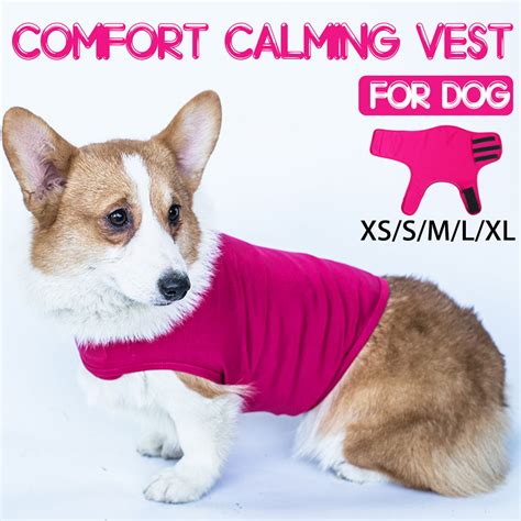  If going to the vet stresses your dog and you out, try a calming vest or pheromones to help your dog be more relaxed