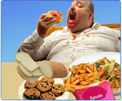  If he looks overweight, decrease his food intake