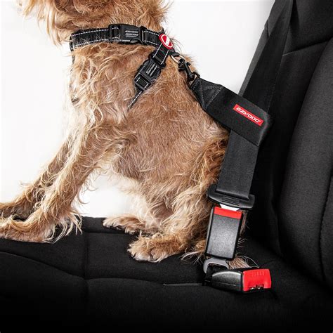  If you are a frequent traveler, a vehicle restraint is a must for the protection of your dog