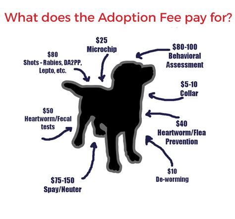  If you are adopting, you also need to pay an adoption application fee