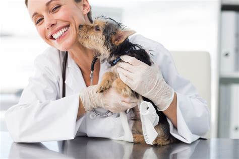  If you are concerned, the safest thing to do is to call your vet clinic