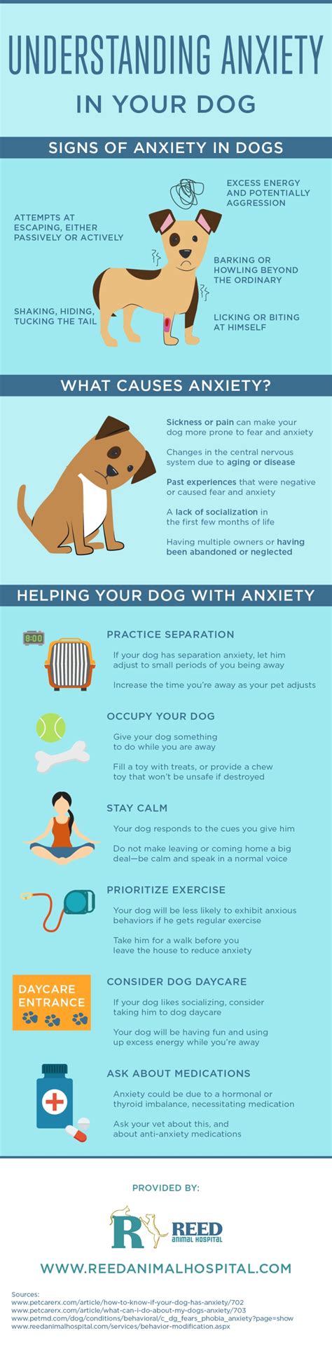  If you are looking for a long-term solution to your dog