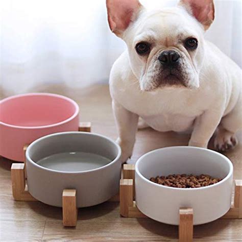  If you choose to get a ceramic bowl for your Frenchie please please make sure it has been made with lead-free glaze