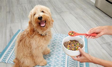  If you decide to feed your dog fresh food we highly recommend that you consult an animal nutritionist