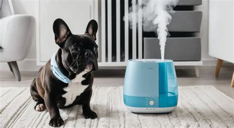  If you follow these tips, your Frenchie will be breathing easier in no time