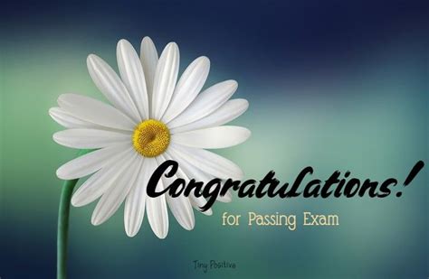  If you had pass this test already… Congratulations! Now it