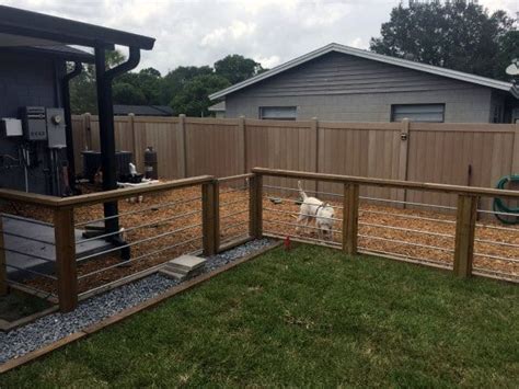  If you have a large fenced-in yard that is secure, this pup will be more than happy to spend the majority of their time outside