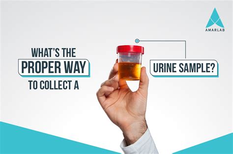  If you have an upcoming test soon, your best option is to substitute or fake a clean urine sample