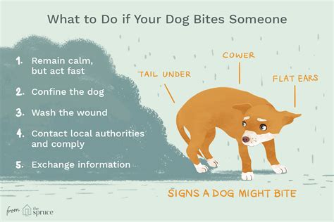  If you have another dog in the house, make sure to monitor their interactions carefully
