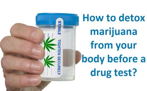 If you have ever exposed your body to any form of cannabis, it would be best to detox your body before taking such tests
