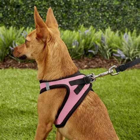  If you have multiple dogs, the colored back strap is sufficient for telling you which harness belongs to which dog