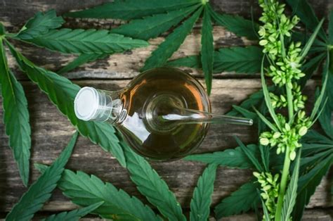  If you have to give large amounts of treats to see an effect, consider trying a CBD tincture instead