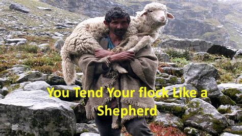  If you live on a farm then they will help you tend your livestock just like their Shepherd ancestors would do