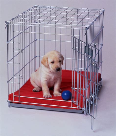  If you must leave your puppy in the crate for more than 2 hours, make sure to provide them with a potty break before crating them again
