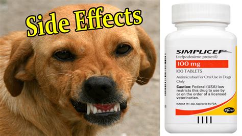  If you notice any adverse effects or if your dog