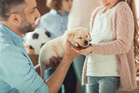  If you plan to buy a puppy for a child, be sure to speak to their parents