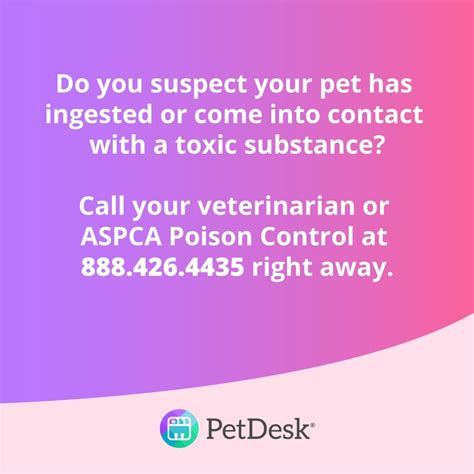  If you suspect your pet has ingested xylitol, you need to contact your vet or local hour animal hospital right away