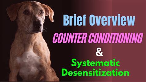  If you use desensitizing and counter-conditioning together, they can be even more effective