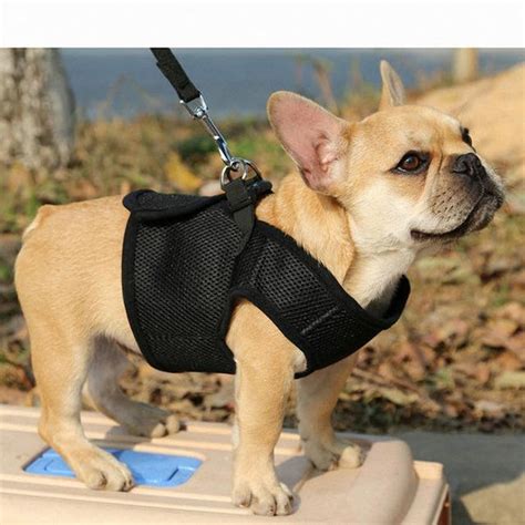  If you want your pooch to have a comfortable life, a quality Frenchie harness is an excellent investment