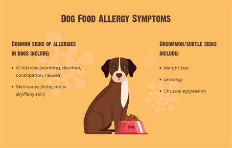  If your Frenchie shows signs of allergies or sensitivities, it is essential to evaluate the ingredients in their food and seek veterinary advice if needed