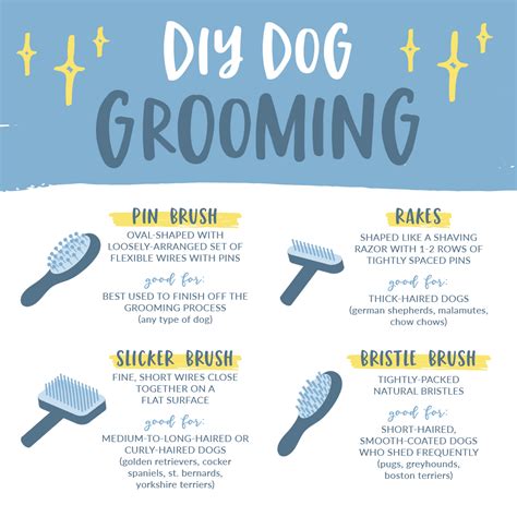  If your canine has a thicker coat, you may need to brush them daily