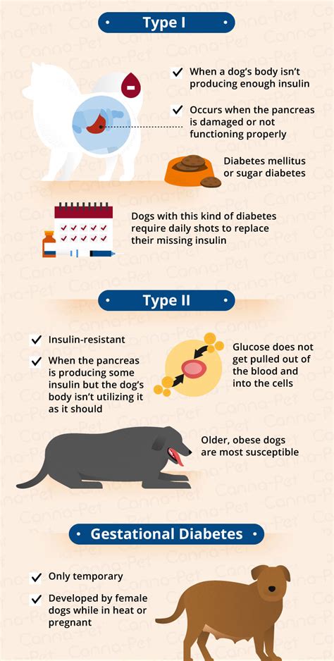  If your dog is a diabetes sufferer, he or she may experience a host of symptoms